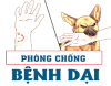 Hình ảnh minh hoạ