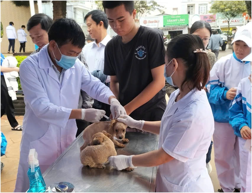 Tiêm vắc xin phòng bệnh dại cho đàn chó, mèo là biện pháp quan trọng và hiệu quả nhất để phòng bệnh dại cho người. (Hình ảnh minh hoạ)