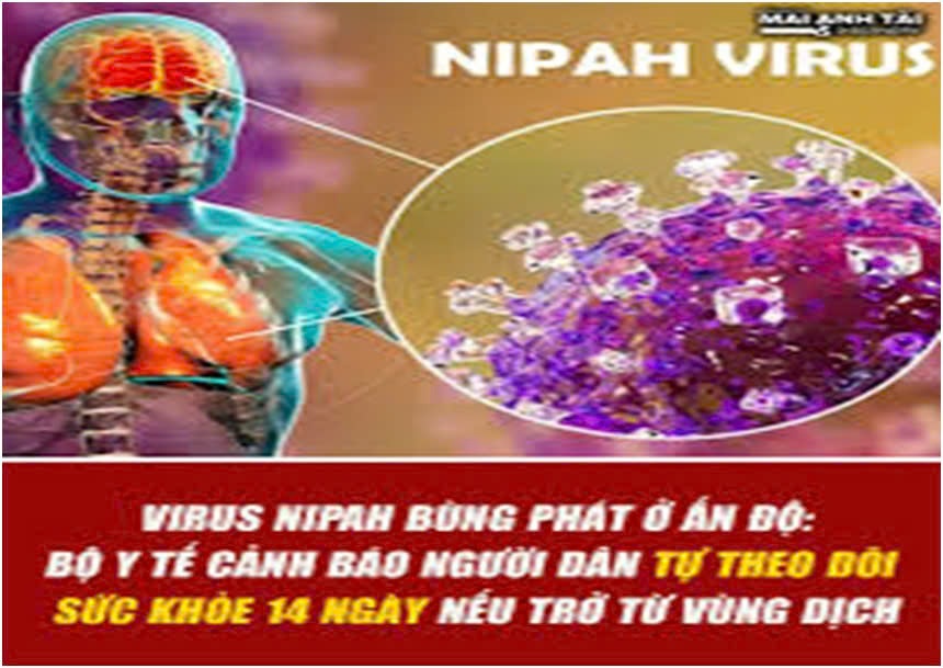 Hình ảnh minh hoạ