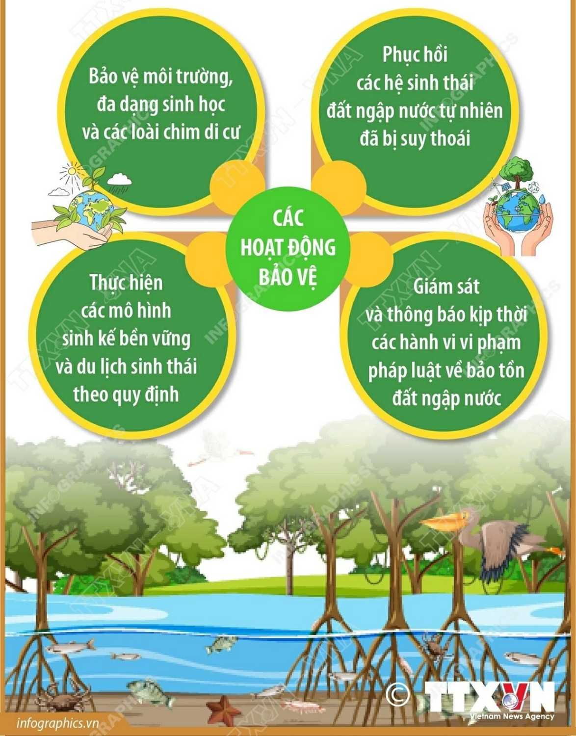 IMG COM 202602022336585240