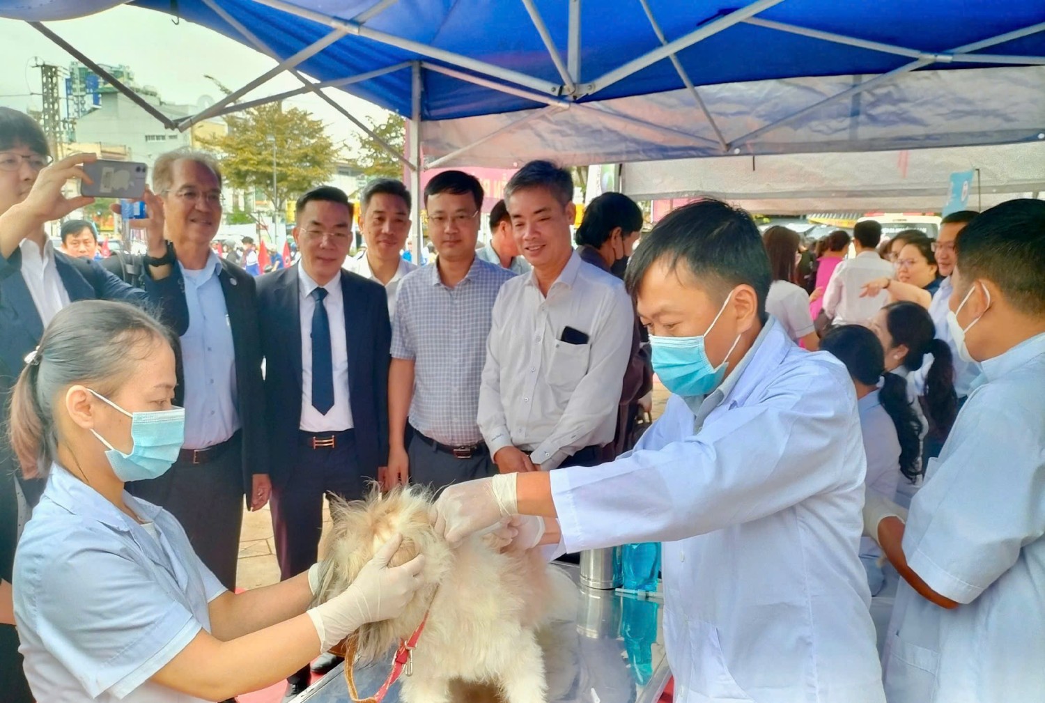 Tiêm phòng vắc xin đầy đủ, định kỳ cho chó, mèo theo hướng dẫn của cơ quan thú y là biện pháp phòng bệnh hiệu quả nhất.