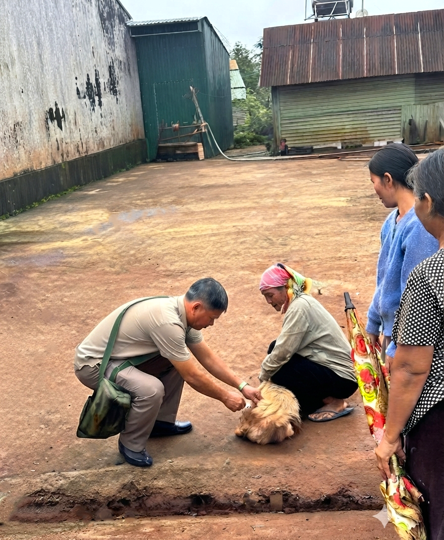 Tiêm phòng vắc xin phòng bệnh Dại cho chó tại xã Ia Tôr, tỉnh Gia Lai.