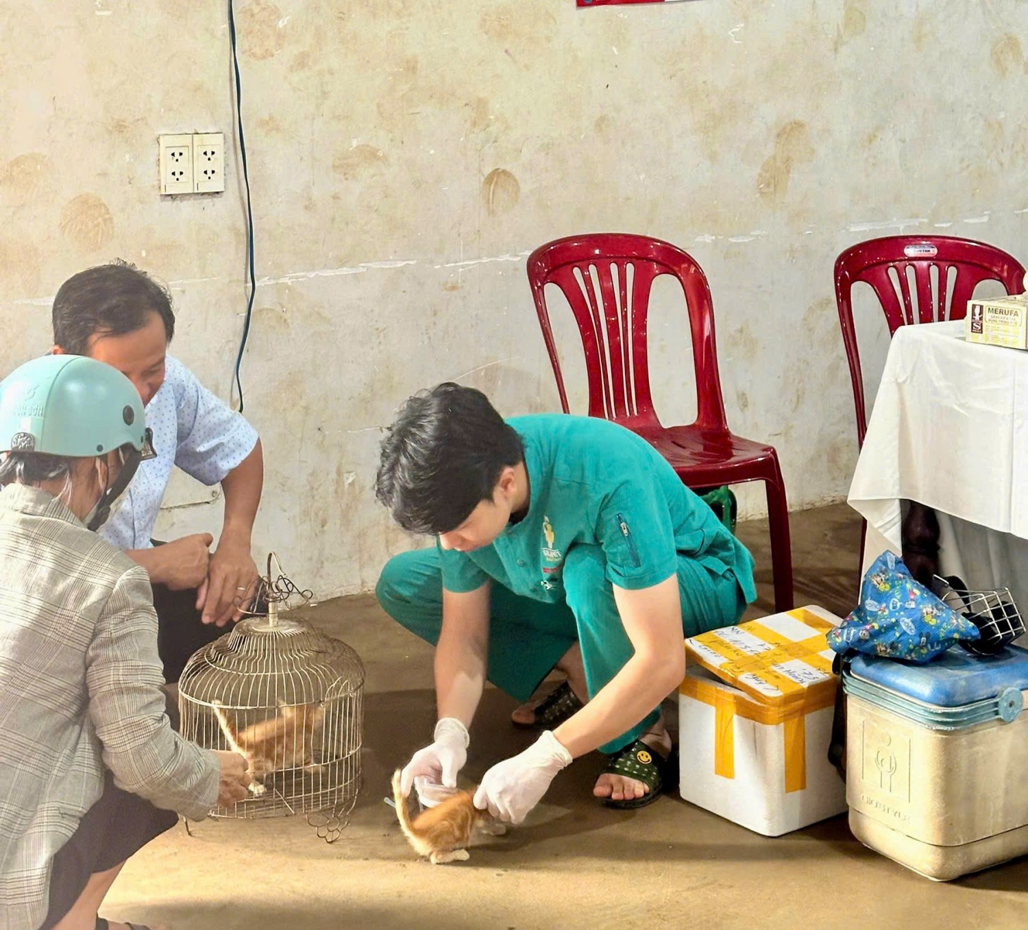 Các hộ gia đình nuôi chó, mèo thực hiện đăng ký, khai báo và tiêm vắcxin phòng bệnh Dại đầy đủ theo quy định để bảo vệ cộng đồng. (Ảnh: Thu Loan)